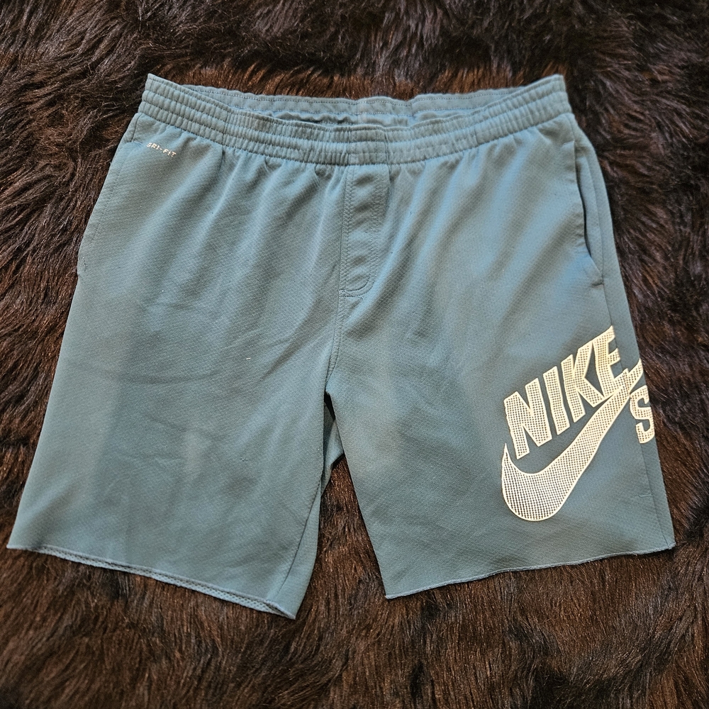 Nike SB Men's Blue Green Dri-Fit Shorts